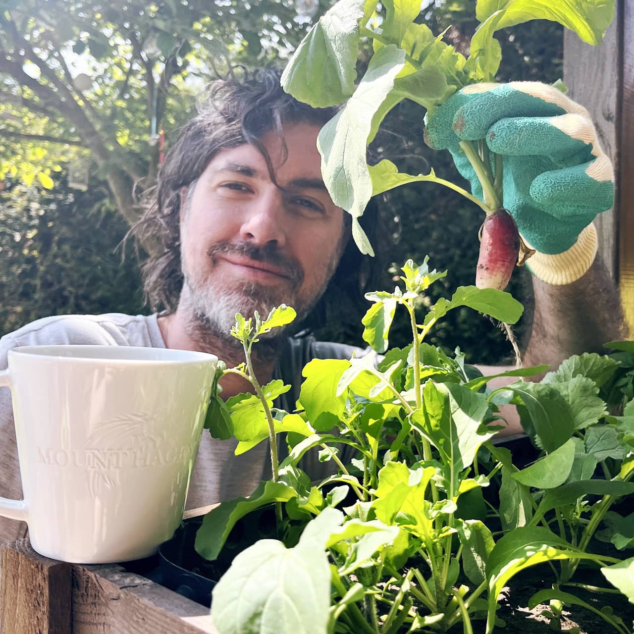 Bio-Kaffee und Urban Gardening